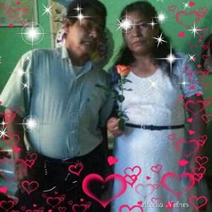 Meet your Posher, Marlin